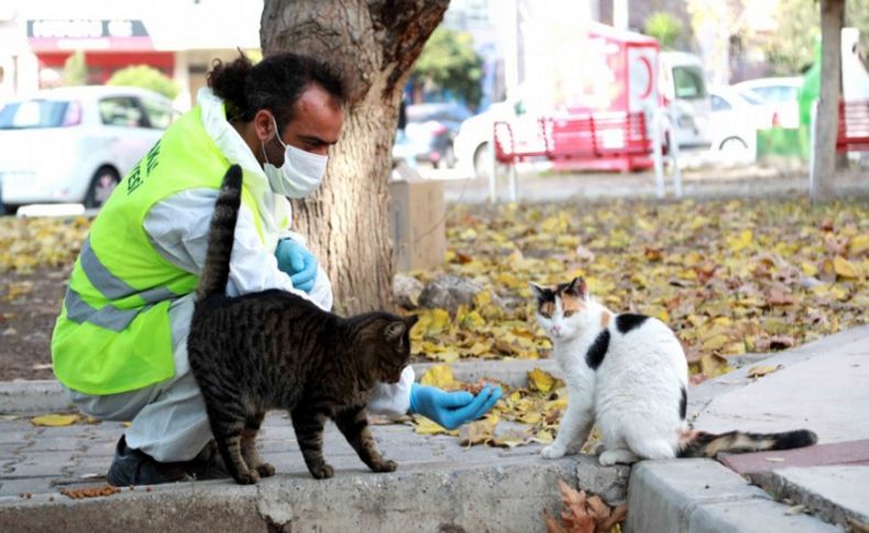 Yasakta can dostlar yalnız kalmadı