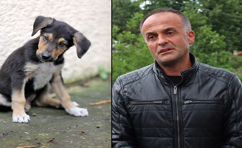 Yavru köpeği dereye atan işçi konuştu