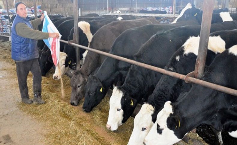 Yem fiyatları süt üreticilerinin belini büktü