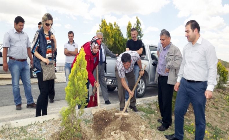 Yozgat Jeoloji Mühendisleri Odası bin adet fidan dikti