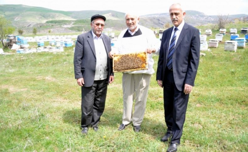 Yozgat'ta arılar ilkbahar bakımı yapılarak yaylıma çıkarıldı