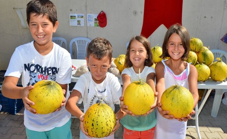 Urla Nohutalan'da mis kokulu festival