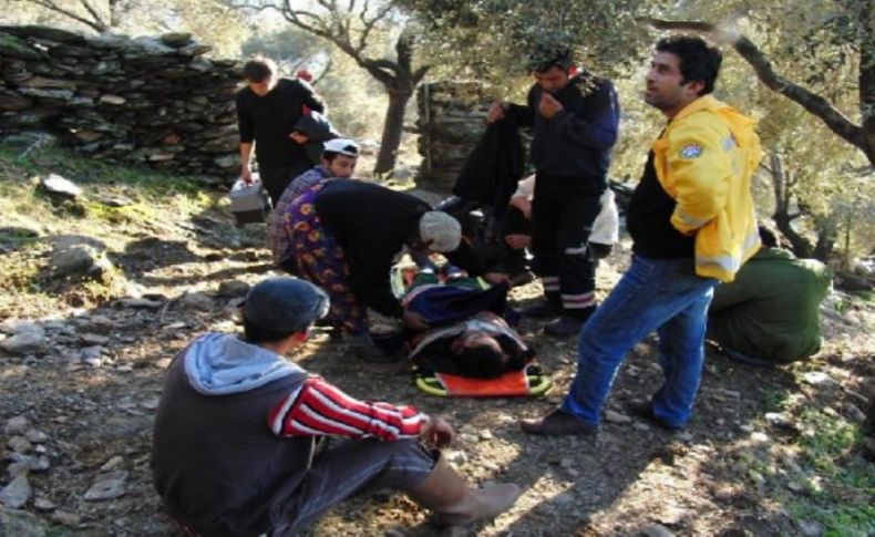 Zeytin toplarken uçuruma yuvarlandı