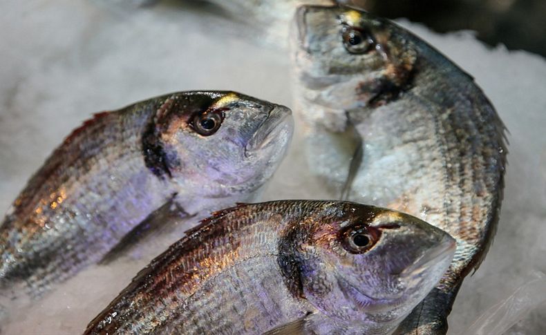 Zincir marketlerde maliyetine balık satışı günleri sürüyor